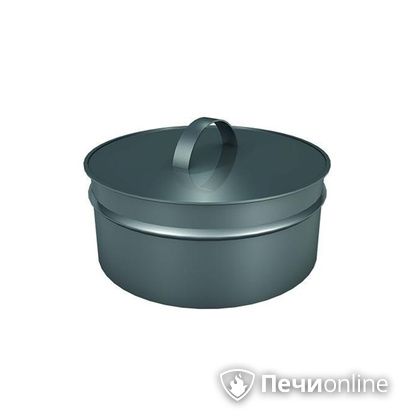 Заглушки Теплов и Сухов Заглушка ревизии Термо-Р 304 0.5 D220(120) в Кунгуре