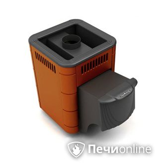 Дровяная банная печь TMF Оса Carbon терракота дверь антрацит в Кунгуре